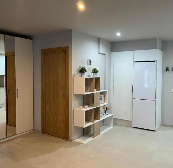 استودیو خانوادگی, Pensió I Apartament Torrent