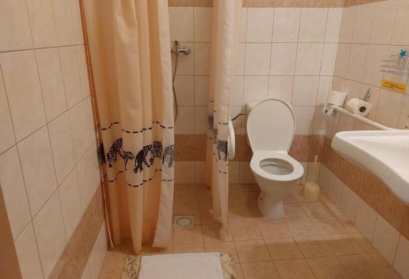 غرفة قياسية سرير كينج لذوى الإحتياجات الخاصة, Penzion Raj