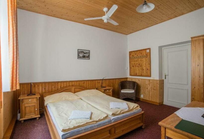 Номер Стандарт, Pension Herman