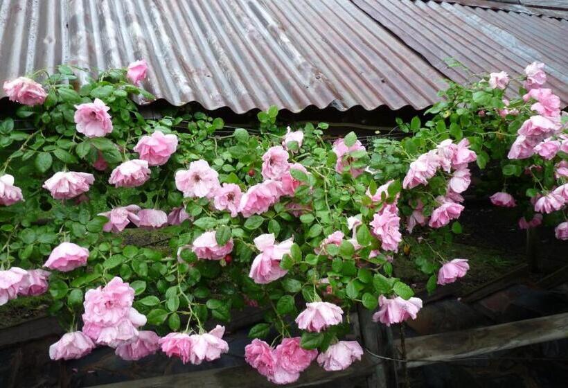 침실 1개 전망 아파트, Brentwood Accommodation B&b Apartments   Yarra Valley