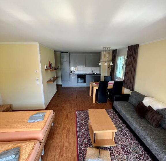 Студия Стандарт, Aladin Apartments St Moritz