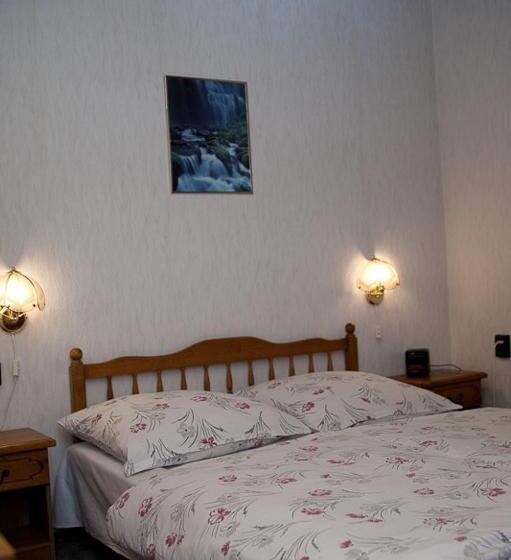 Номер Стандарт, Holp Panzio