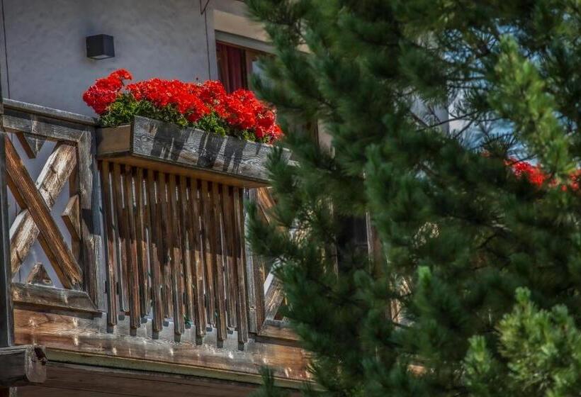 1 Bedroom Apartment Mountain View, Residence Sas Vanna