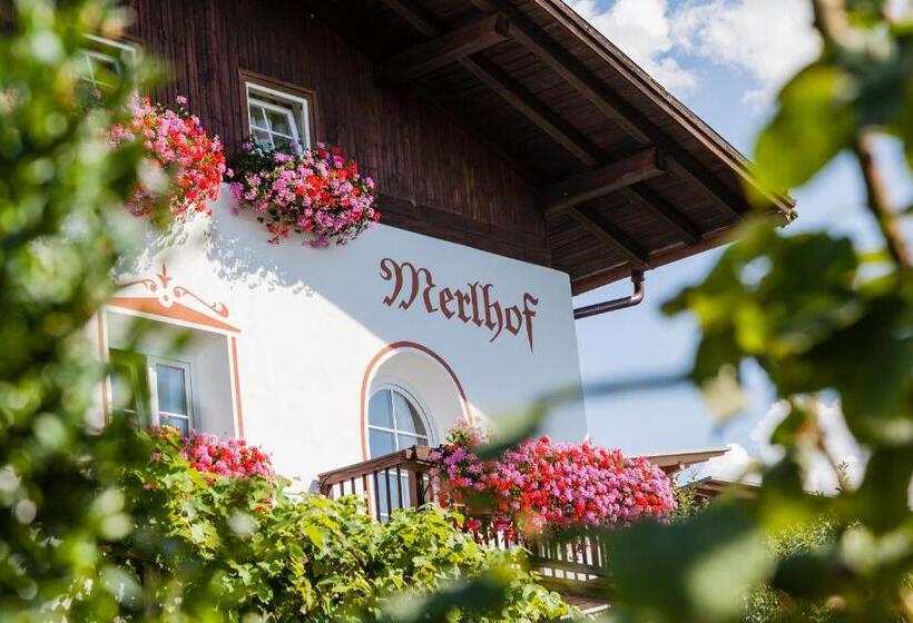 Апартаменты 1 Спальня с Видом, Merlhof
