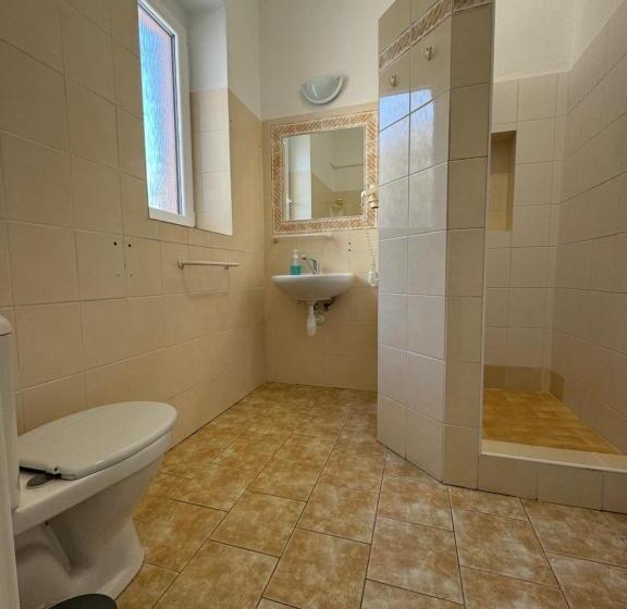 اتاق استاندارد یک نفره, Pension Moravia