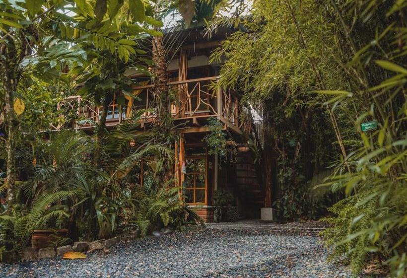 Номер Superior Одноместный, Hostal Las Palmas