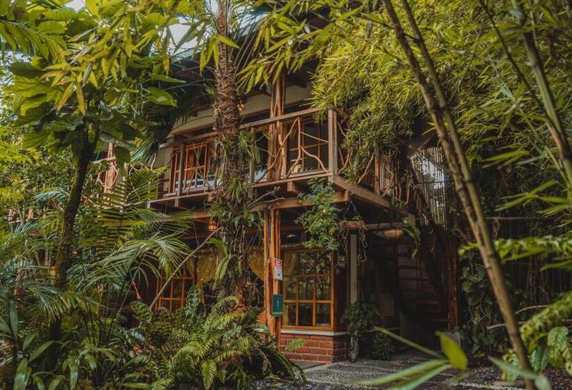 Четырехместный Номер Superior, Hostal Las Palmas