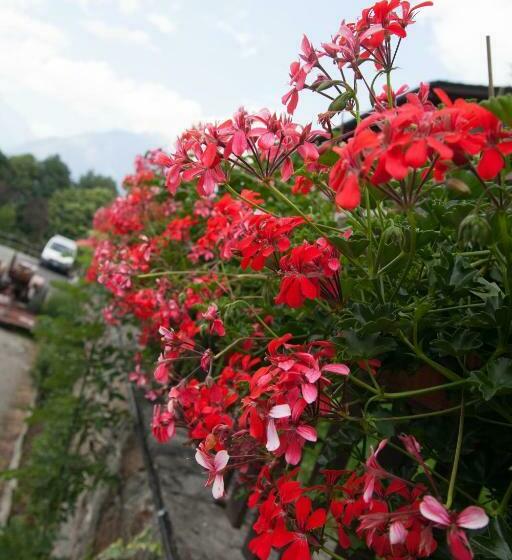 스탠다드 룸, Agriturismo Al Castagneto