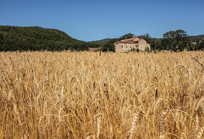 شقة غرفة واحدة مطلة على الحديقة, Terra Di Michelangelo