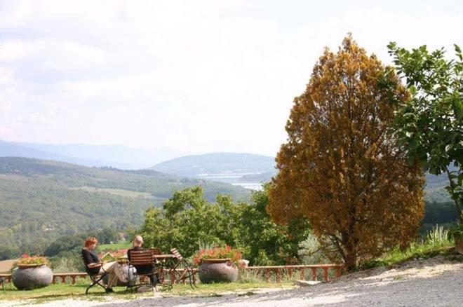 شقة ديلوكس غرفة نوم واحدة, Terra Di Michelangelo