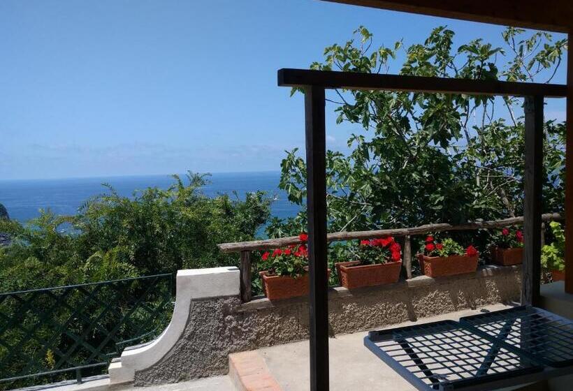 استودیوی استاندارد, Residence Giardino Del Sole
