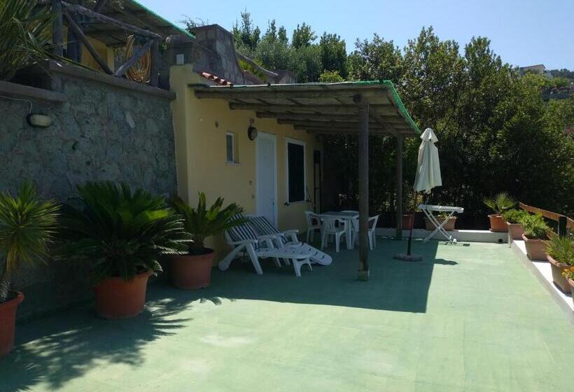 استودیوی استاندارد, Residence Giardino Del Sole