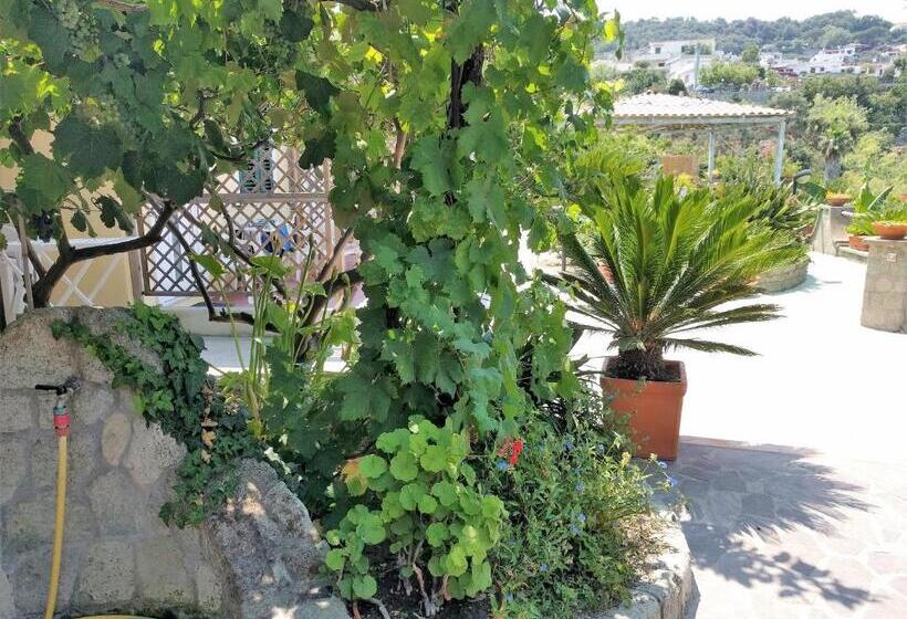 اتاق استاندارد با بالکن و چشم‌انداز دریا, Residence Giardino Del Sole