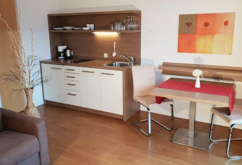 Апартаменты 1 Спальня, Appartements Dornach