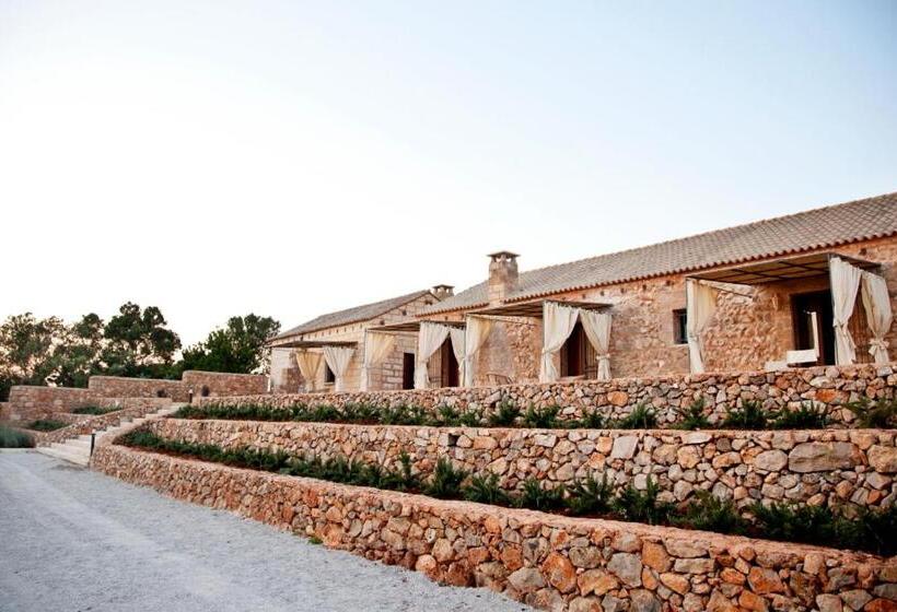 标准间, Masseria Cisternella