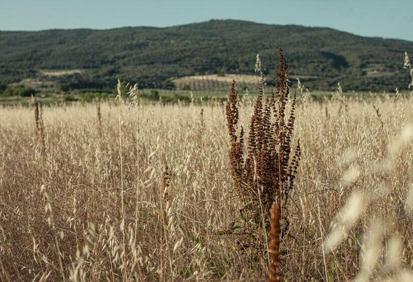 Апартаменты 1 Спальня, Tenuta Il Cicalino