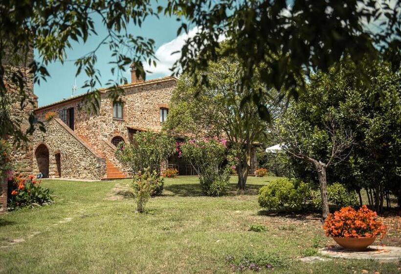 Апартаменты 1 Спальня, Tenuta Il Cicalino