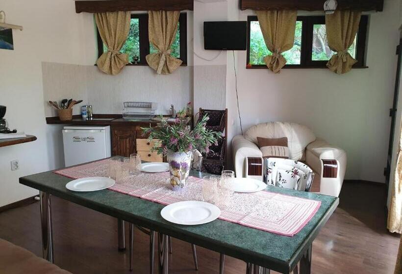 Family flat with terrace, Casa De Vacanta Razvan Si Andrei