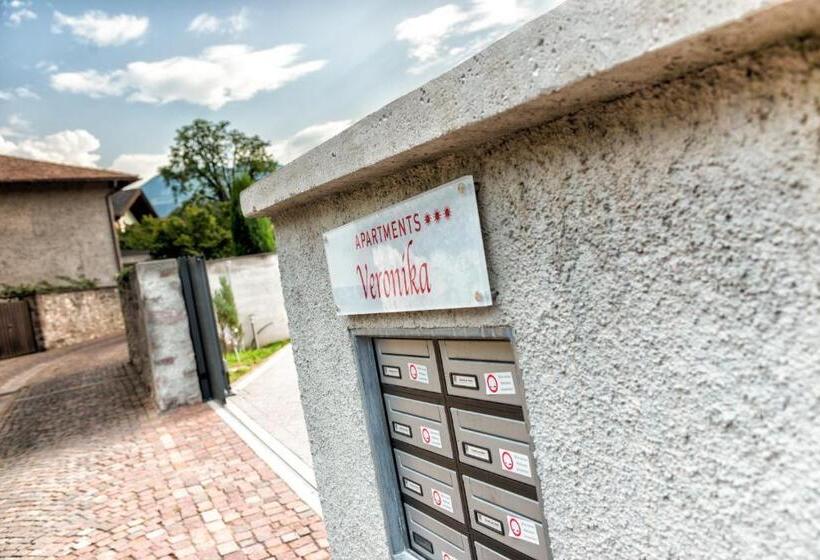 Апартаменты 1 Спальня, Apartment Residence Veronika