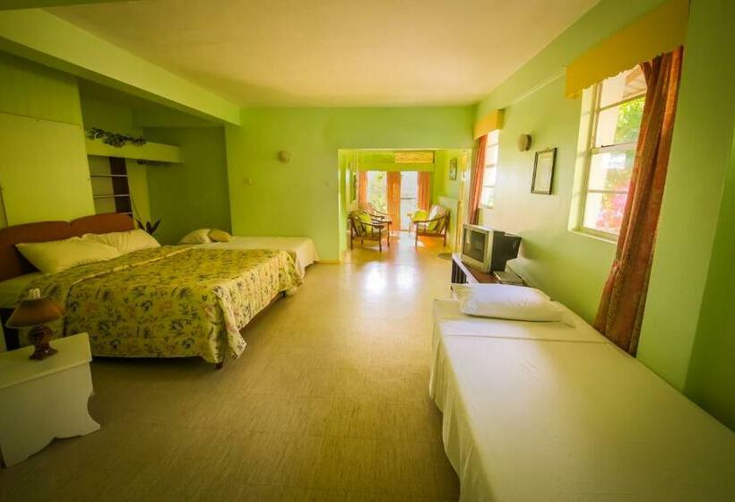 استودیوی استاندارد, Casa Del Vega A Little Peace Of Heaven