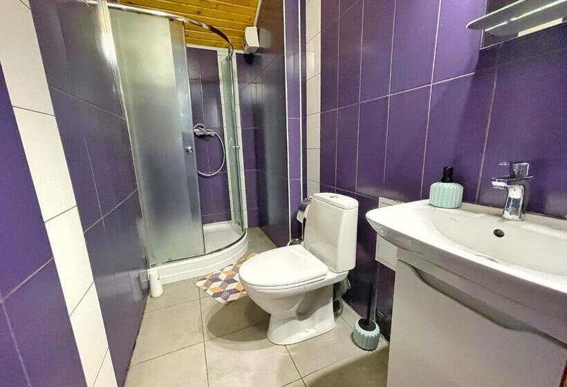 غرفة قياسية, Guest House Lviv
