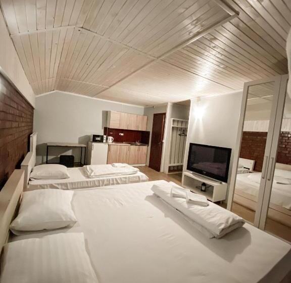 إستوديو قياسى, Guest House Lviv