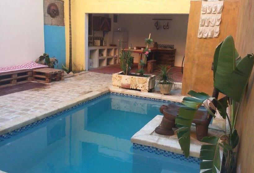 اتاق لوکس, La Choza Guesthouse