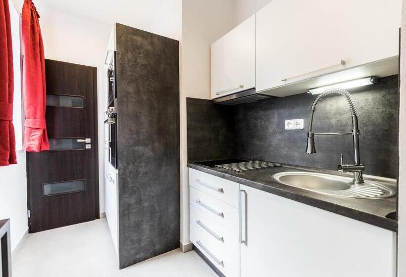 Люкс Дюплекс, Apartments Benešova 6