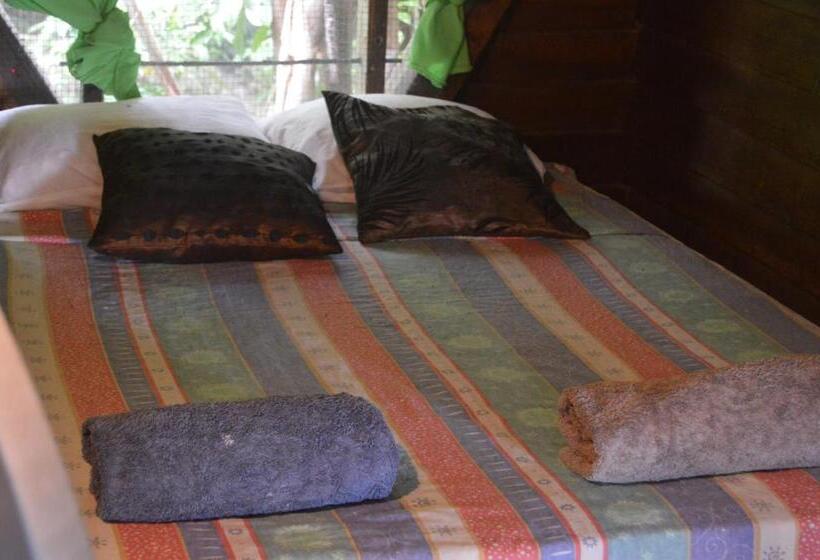 Номер Стандарт, Beverly's Hill Guest House