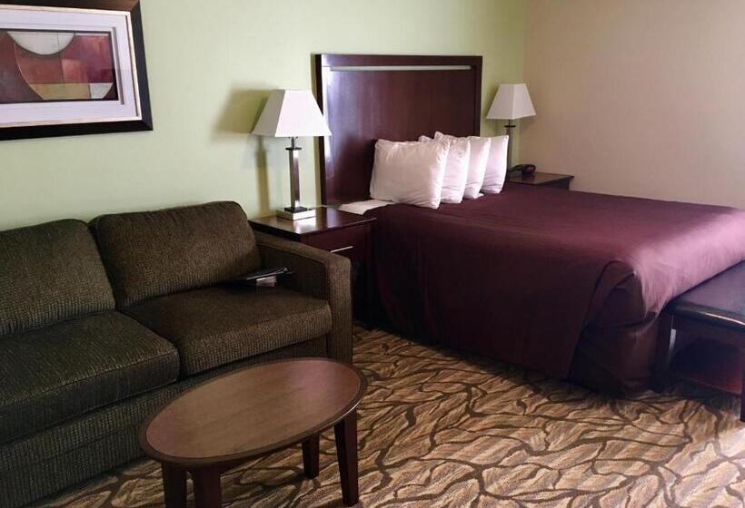 Номер Deluxe Одноместный, Aspen Suites Hotel Homer