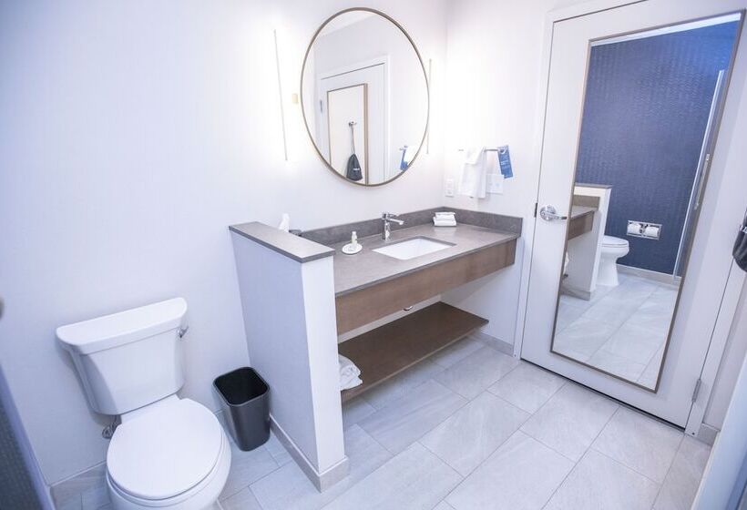 スイート, Fairfield Inn & Suites By Marriott Indianapolis Greenfield