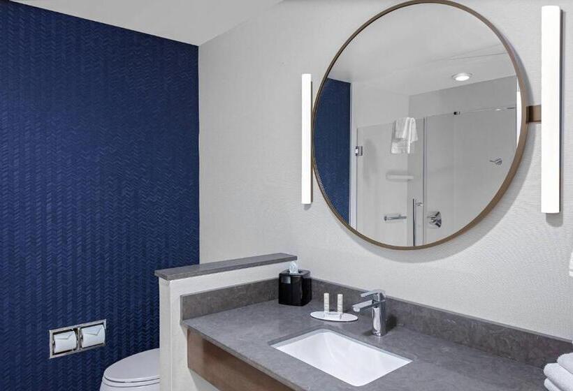スイート, Fairfield Inn & Suites By Marriott Indianapolis Greenfield