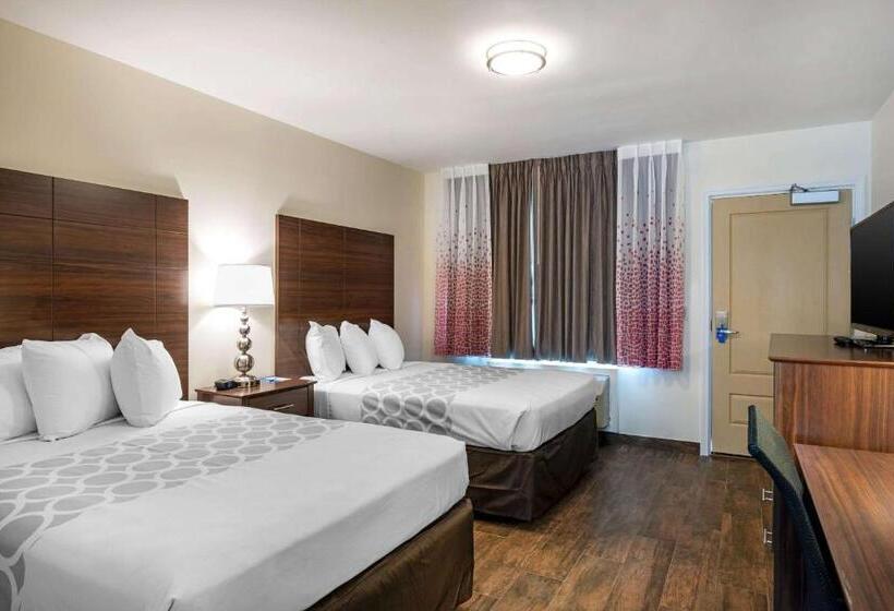 ２ダブルベッドのスタンダードルーム, Rodeway Inn Near Hollywood Beach
