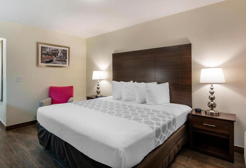 身障者適用キングサイズベッドルーム, Rodeway Inn Near Hollywood Beach