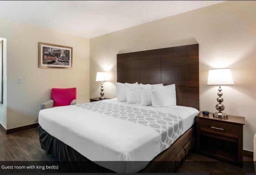 身障者適用キングサイズベッドルーム, Rodeway Inn Near Hollywood Beach