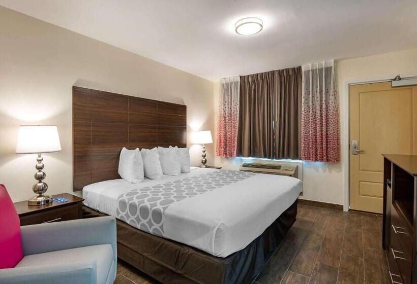キングサイズベッドのスタンダードルーム, Rodeway Inn Near Hollywood Beach