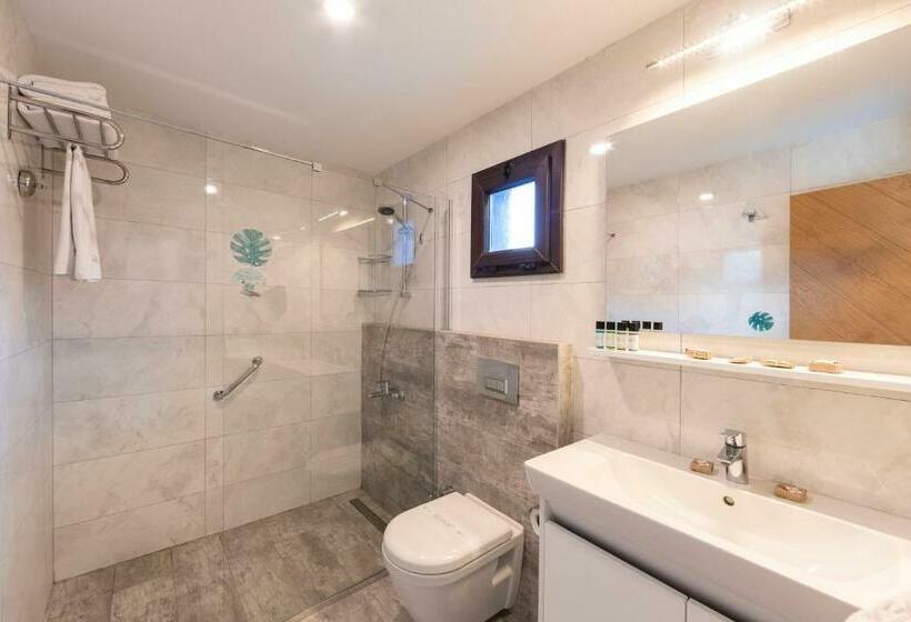Люкс, Dorman Suites