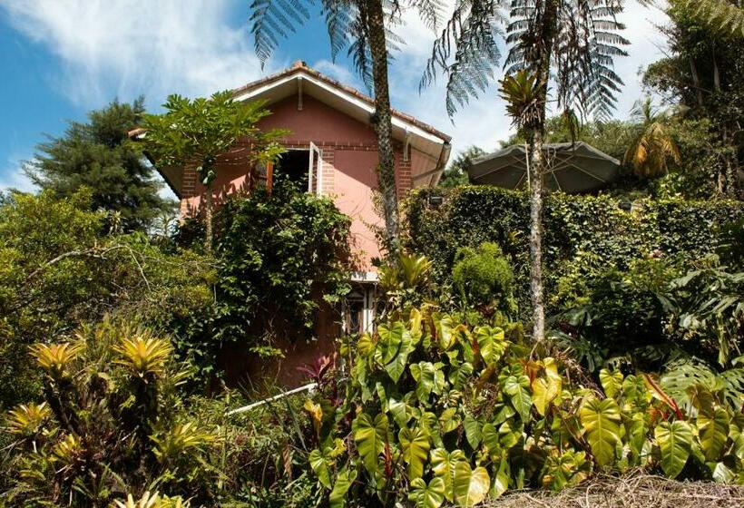 套房带泳池景, Villa Violeta