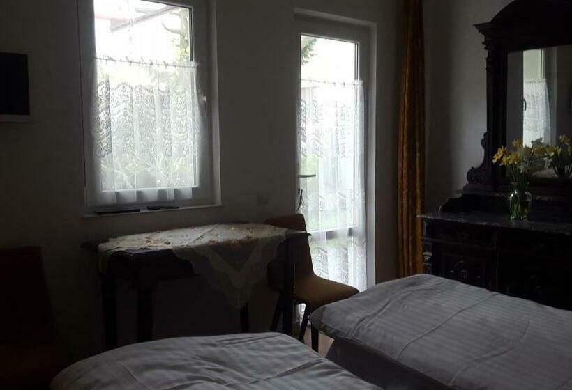 Полулюкс Одноместный с Террасой, Room In An Old House