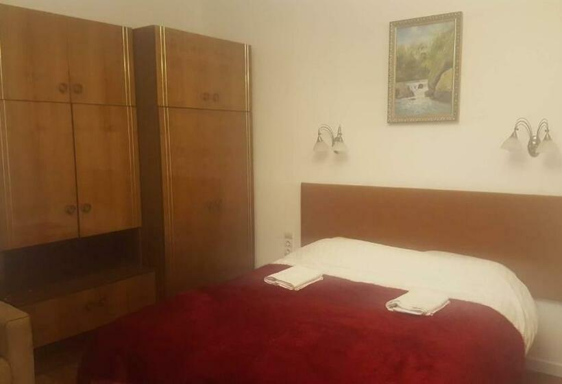 Полулюкс Одноместный с Террасой, Room In An Old House