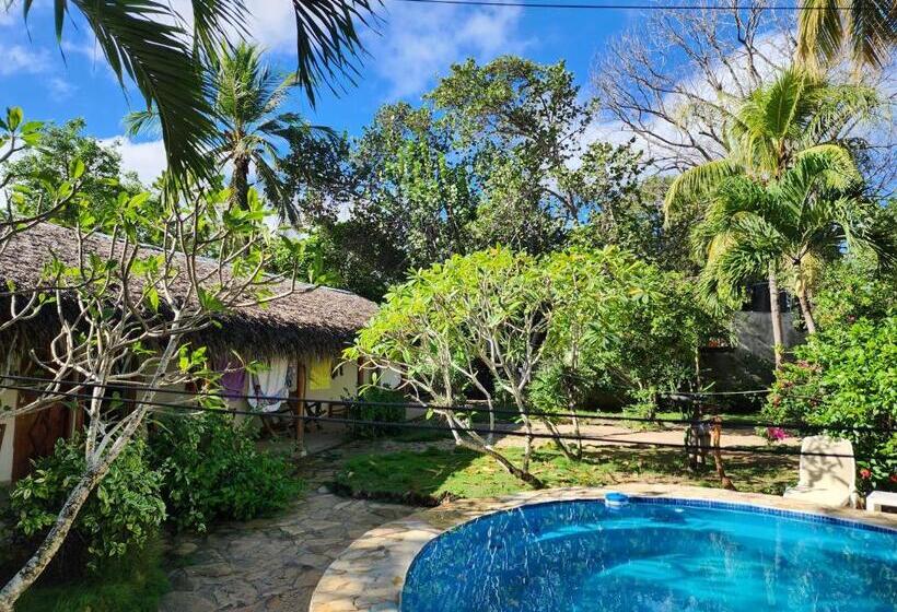 Номер Стандарт, Villa Rosa