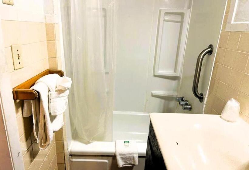 Номер Стандарт, Oyo Hotel Buena Vista Delhi