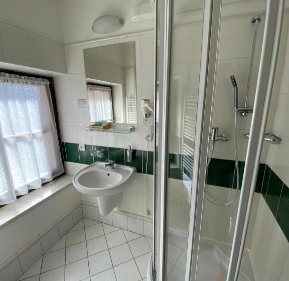 اتاق استاندارد, Zámecký Hotel Zlatý Orel