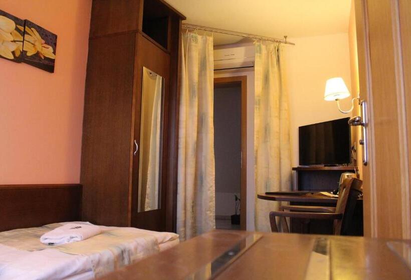 スタンダードシングルルーム, Zámecký Hotel Zlatý Orel