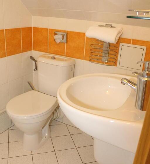 آپارتمان 1 خوابه, Zámecký Hotel Zlatý Orel