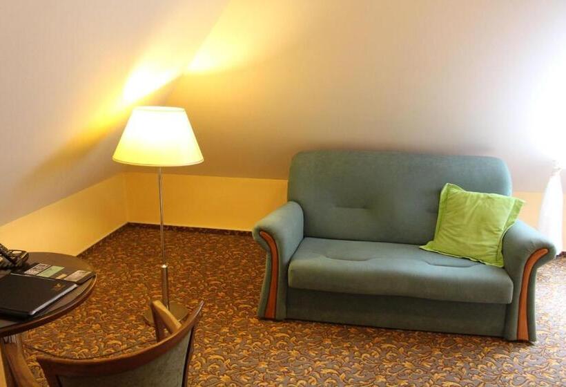 آپارتمان 1 خوابه, Zámecký Hotel Zlatý Orel