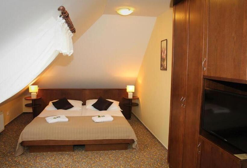 １ベッドルームアパートメント, Zámecký Hotel Zlatý Orel