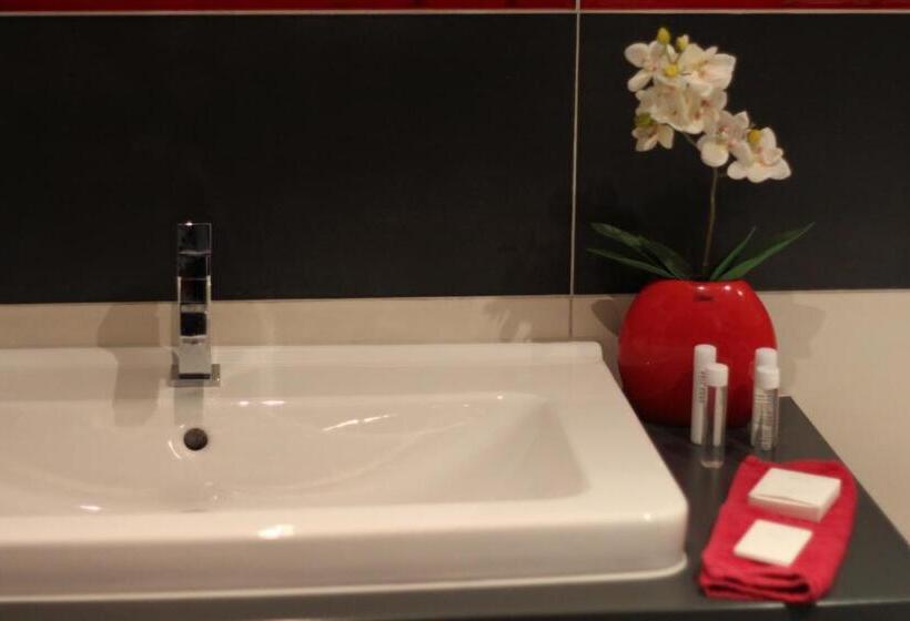 اتاق استاندارد با تخت بزرگ, Zámecký Hotel Zlatý Orel