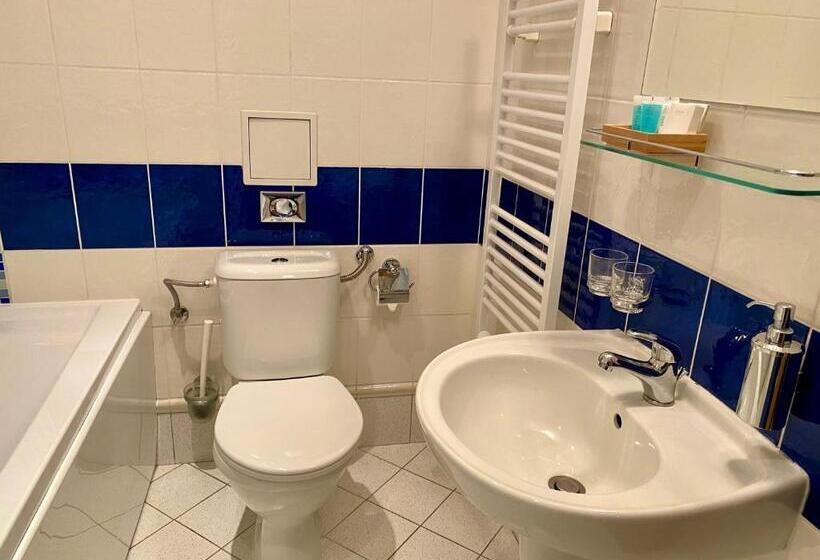 اتاق استاندارد با تخت بزرگ, Zámecký Hotel Zlatý Orel