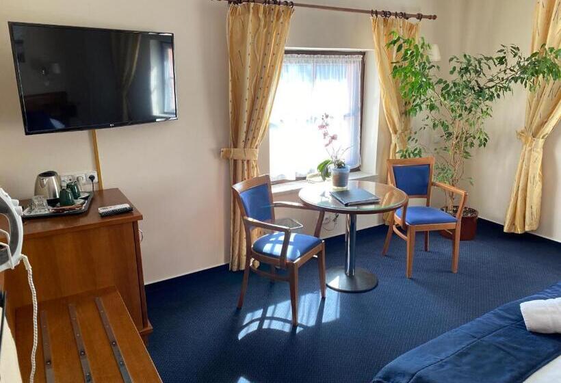 اتاق لوکس با چشم‌انداز, Zámecký Hotel Zlatý Orel